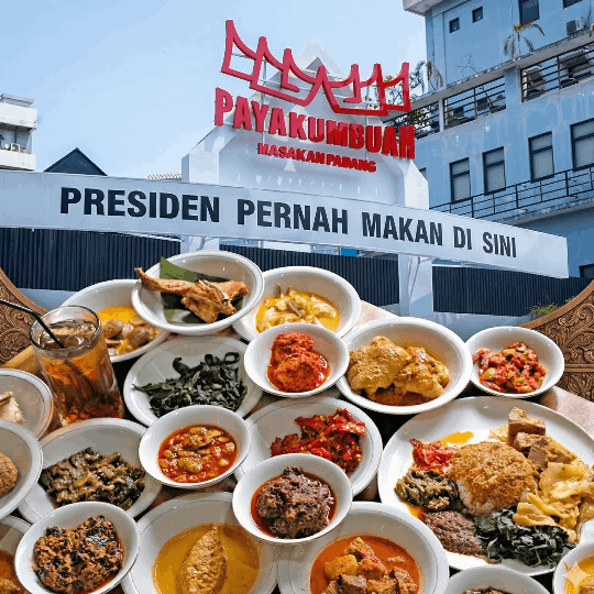 payakumbuah 1.png